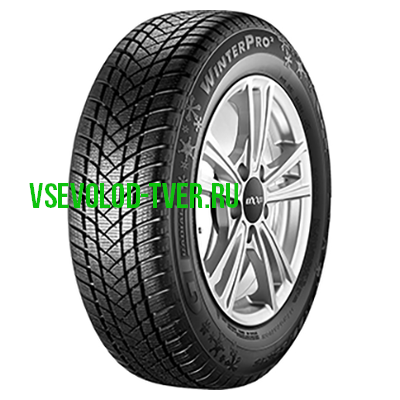 GT Radial WinterPro 2 205/55 R17 H зима