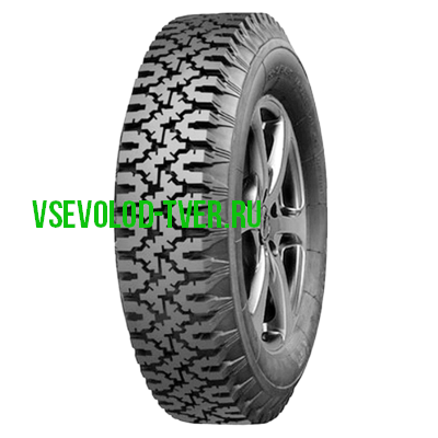 Алтай АИ-168У 165/0 R13 P зима