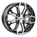 RST R126 (Solaris) 6x16 4x100 ET49 d54.1